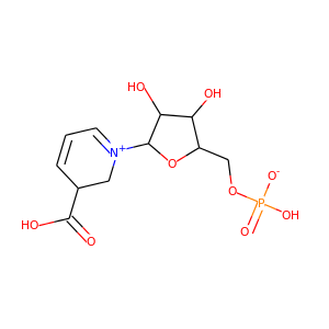 deamido nicotinamide ribonucleotide